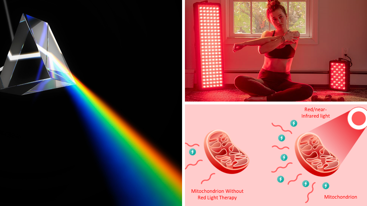 Illuminate Your Life with Powerful Red Light Therapy from Hooga