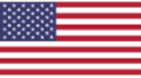 Image of the American Flag in support of Frog Squismallow