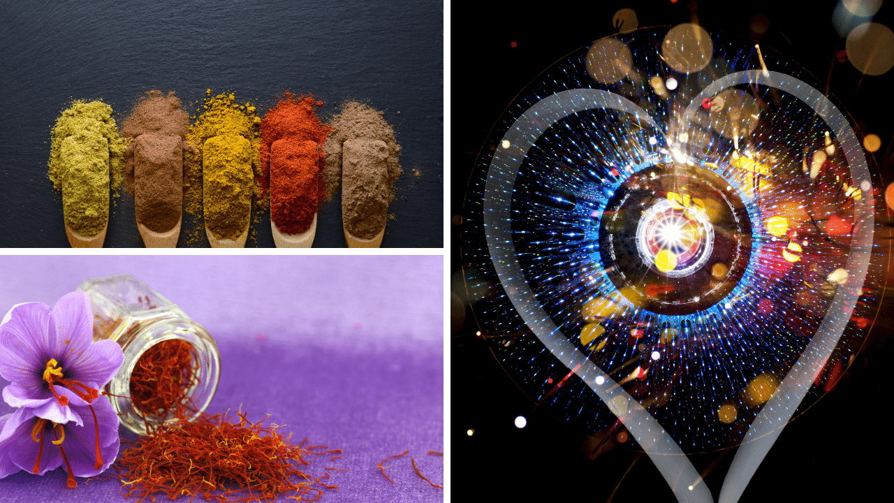 Images of Saffron flowers and supplement powder