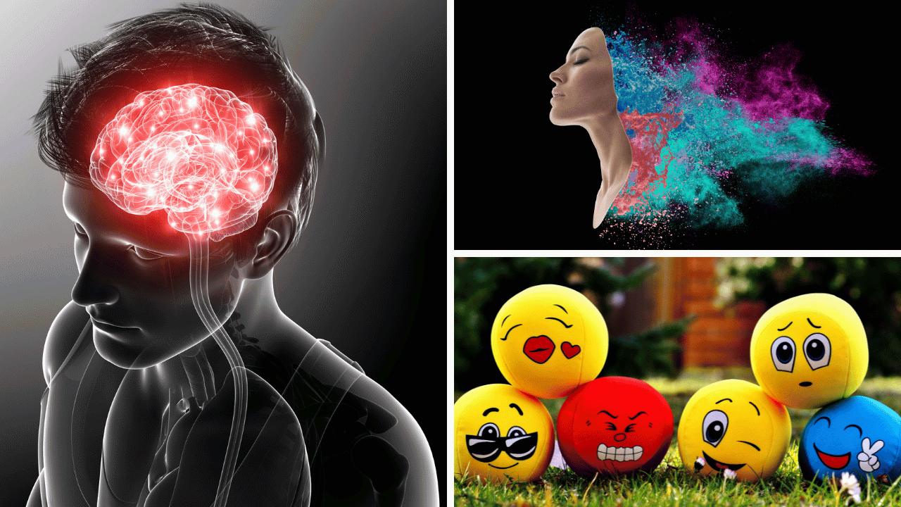 Several images of brain functions related to neuroplasticity.