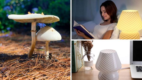 The Fungi Fashion Trend: Why a Mushroom Lamp? 🛋️