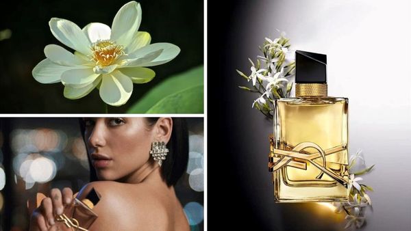 Yves Saint Laurent's Best-Selling Fragrances: Our Top Picks 💐