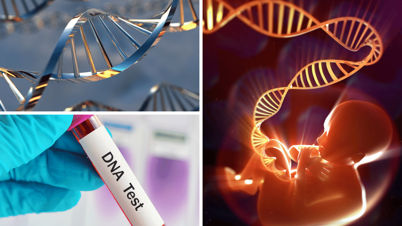 DNA (Deoxyribonucleic Acid): The Blueprint of Your Life! 👁️